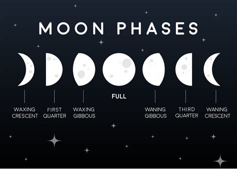 First Quarter Moon Phase Spiritual Meaning Lusomentepalavras