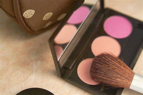 O Tom De Blush Ideal Para Cada Tipo De Pele Dicas De Mulher