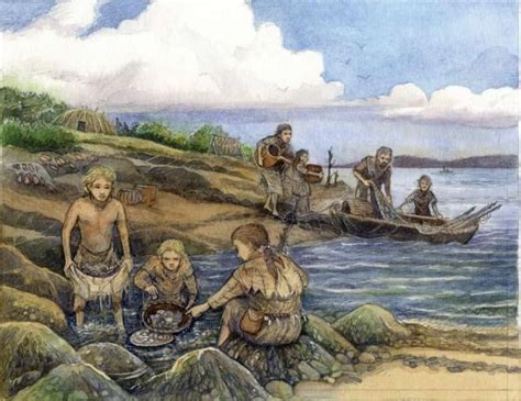 Resource Gathering In Mesolithic Orkney From Reading The Gathering