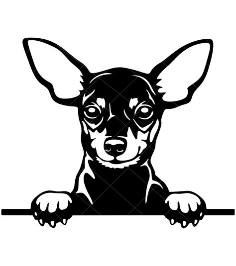 Min Pin Miniature Pinscher Dog Peekaboo Svg Cut File Png Black Etsy