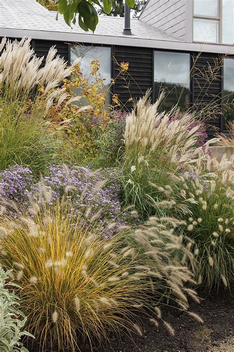 Landscape Design With Ornamental Grasses Top Ways