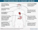 How Does Marijuana Help The Body Images