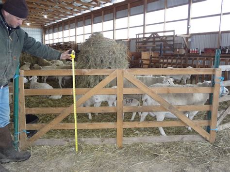 Goat barn farm barn sheep house farm house sheep shelter small barns small barn plans sheep pen chicken barn. Sheep Barn Interior Design: Wooden Panels | Sheep pen ...