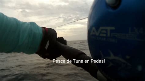 Pesca De Tuna En Pedasi Youtube