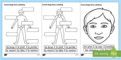 french body parts labelling worksheet french body part