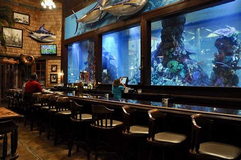 ISLAMORADA FISH COMPANY Relaxed Atmosphere An Awe Inspiring Aquarium