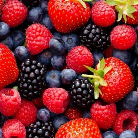 Wild Berry Mix Strawberries Blueberries Blackberries And Raspberries Homeogarden