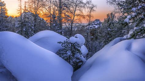 Snow Covered Rock And Trees With Snow During Sunset Hd