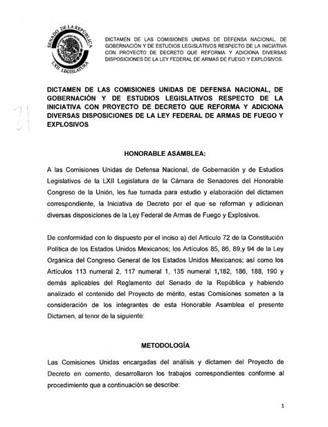 Dictamen Armas De Fuego Y Explosivos By Zoom Legislativo Issuu