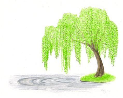 In this tutorial you can learn on how to cre. looking cool under the tree! | Weeping willow, Willow tree ...