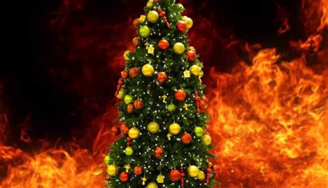 State Fire Marshal Offers Christmas Tree Safety Tips Wbbj Tv