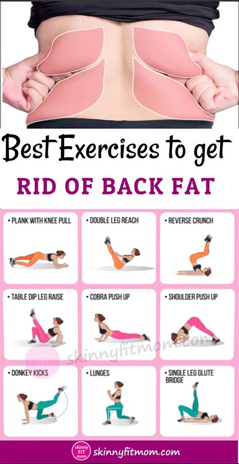 pin on get those fabulous abs by losing excess belly fat