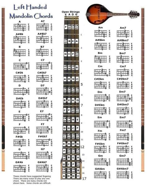 Mandolin Fretboard And Chord Chart Instructional Poster Fingering Chart 11005 Hot Sex Picture