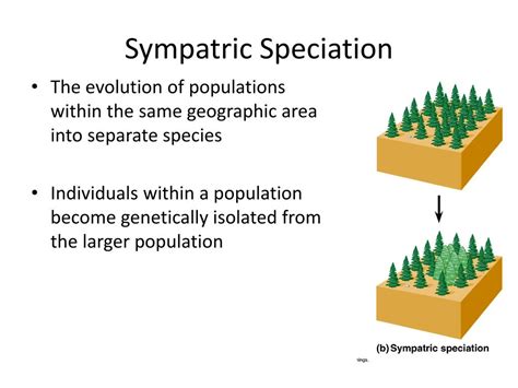 Ppt Speciation Powerpoint Presentation Free Download Id1641302