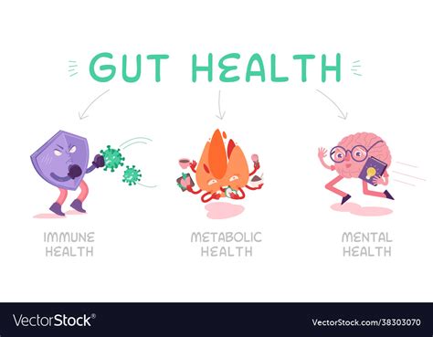 Why Gut Health Matters Landscape Poster Royalty Free Vector