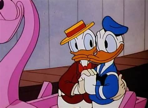 Disney Film Project Donalds Double Trouble