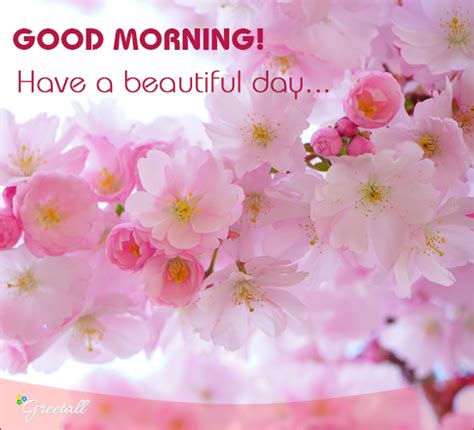That's why we have created this amazing collection of original good morning images with flowers. Morning Wishes With Flowers... Free Good Morning eCards ...