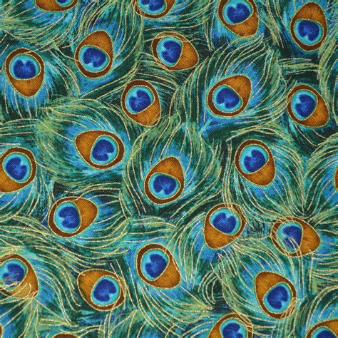 Peacock Feather Fabric Timeless Treasures Fabric Plume