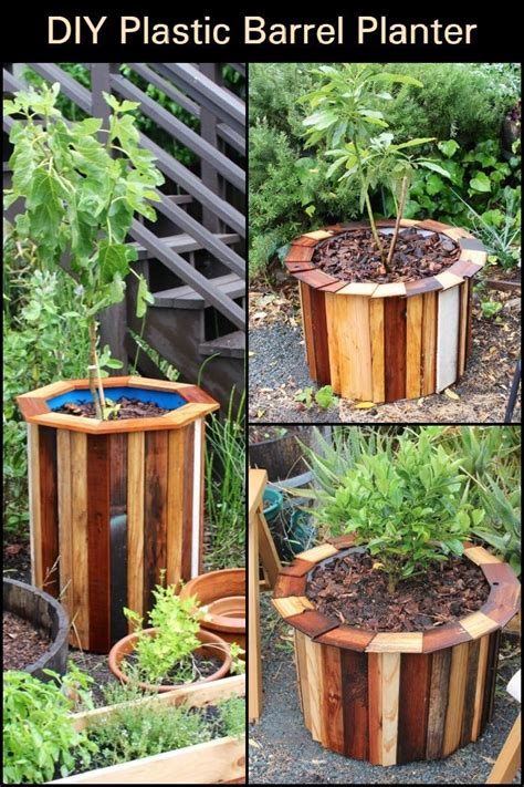 Diy Plastic Barrel Planter Beautiful And Rustic Project Your