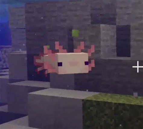 View 25 Minecraft Axolotl Aesthetic Background Anyimagesignaljibril