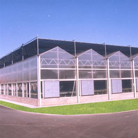 Why Do Commercial Greenhouses Become So Popular Today Dongpengboda