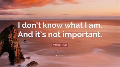Miguel Ruiz Quote I Dont Know What I Am And Its Not Important