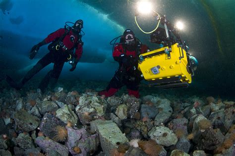 13 Amazing Underwater Discoveries That Prove The Ocean Is Full Of