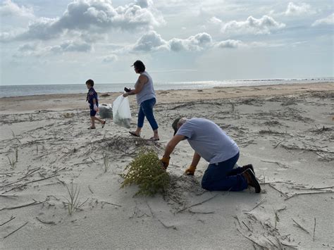 You Can Help Remove A Coastal Invader Russian Thistle Fernandina