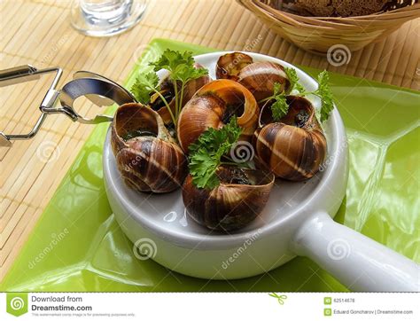 Escargot French Culture Stock Photo Image Of Culture 62514678