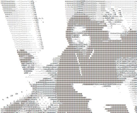 How To Generate An Ascii Art Photo From The Webcam With Javascript