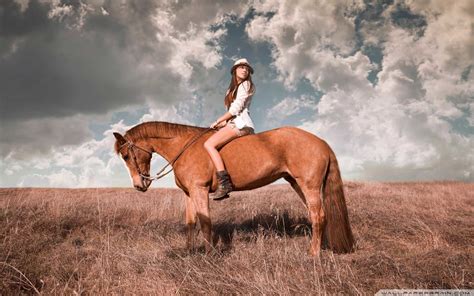 Equestrian Wallpaper 56 Pictures