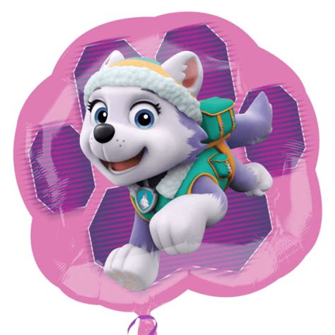 Paw Patrol Skye And Everest Foil Balloon Paw Patrol Foil Balloons