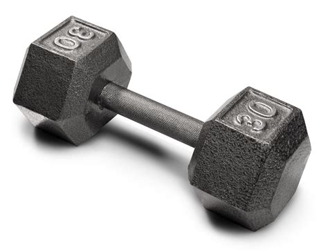 Buy Weider 30 Lb Cast Iron Hex Dumbbell With Knurled Grip Online In
