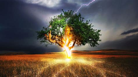 Download 1366x768 Wallpaper Lightning Flash Tree Landscape Storm