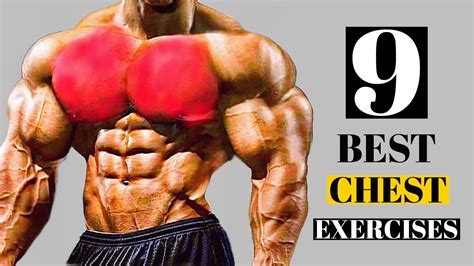 9 Best Chest Exercises In Gyn Build Big Chest Muscles Youtube