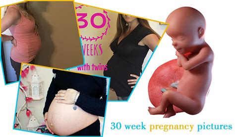 the 30th week of pregnancy