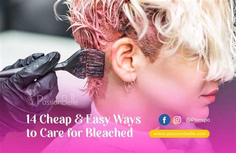 14 cheap and easy ways to care for bleached hair passionbelle