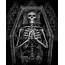 Skeleton Casket Blank Template  Imgflip