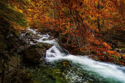 Waterfall In Autumn Forest 5k Retina Ultra Hd Wallpaper Background