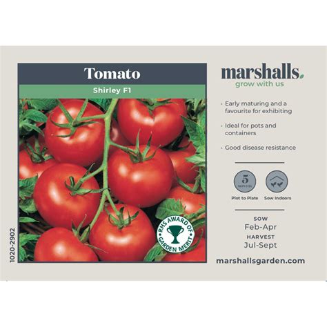 Buy Shirley F1 Hybrid Tomato Seeds Online Marshalls Marshalls Garden