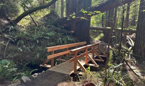 Hiking Mount Tams Steep Ravine Trail Reopens After Refurbishments