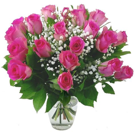 20 Pink Roses With Gyp Fresh Flower Bouquet Lovely Pink Roses