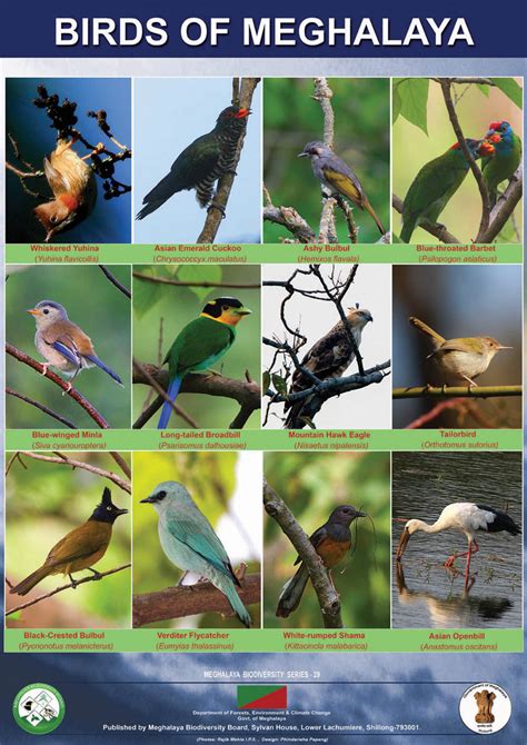Posters Official Website Of Meghalaya Biodiversity Boardgovernment