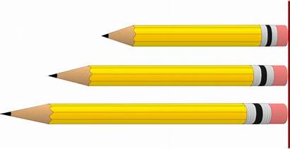 Length Clipart Comparison Lengths Pencils Clip Short