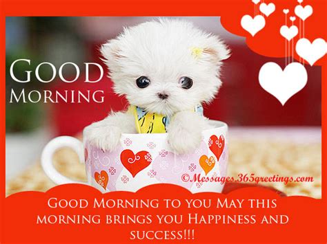 Don't waste your time and greet your princess early in the morning. Good Morning To You! Pictures, Photos, and Images for ...