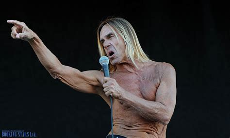 After his previous band, the stooges collapsed, iggy pop (the stage name of james newell osterberg, jr.) initially struggled to establish a solo career. Booking Stars Ltd. Booking & Touring Agency. - Iggy Pop