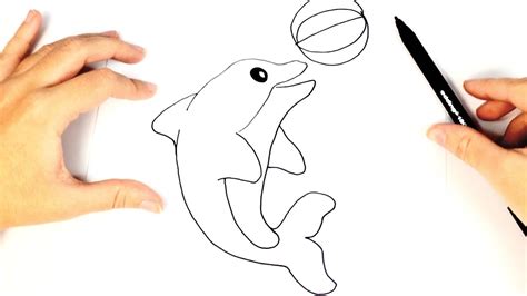 Dibujo Fácil De Un Delfin Paso A Paso Cómo Dibujar Un Delfín Para