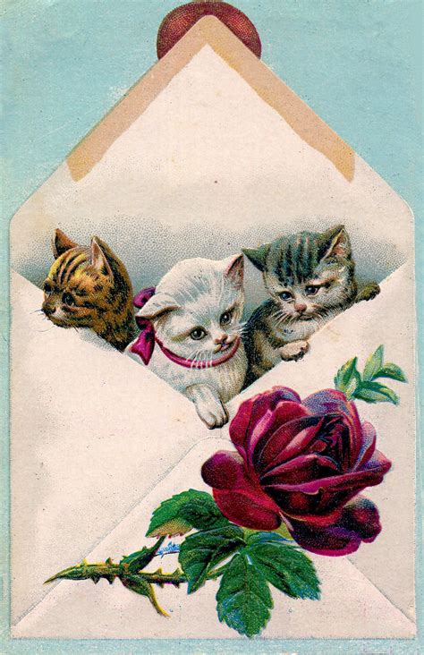 Vintage Image Cats In Envelope The Graphics Fairy