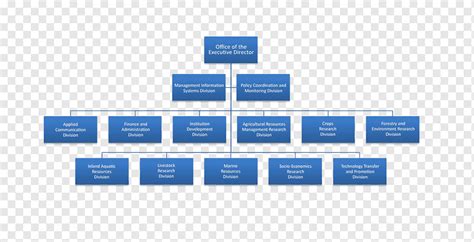 Mobile App Company Organizational Structure How To Make A Business