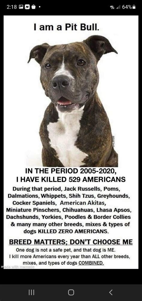 The Truth About Pitbulls Part Never Adopt Or Rescue Free Porn